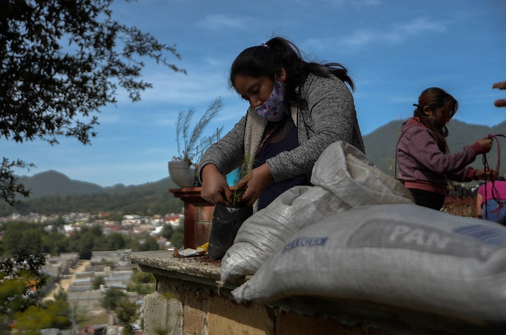 Los estados donde hay más mujeres sin ingreso laboral suficiente para mantener a una familia son: Chiapas (79 por ciento), Puebla (76 por ciento), Guerrero (75 por ciento), Morelos (75 por ciento) y Oaxaca (74 por ciento). (EFE)