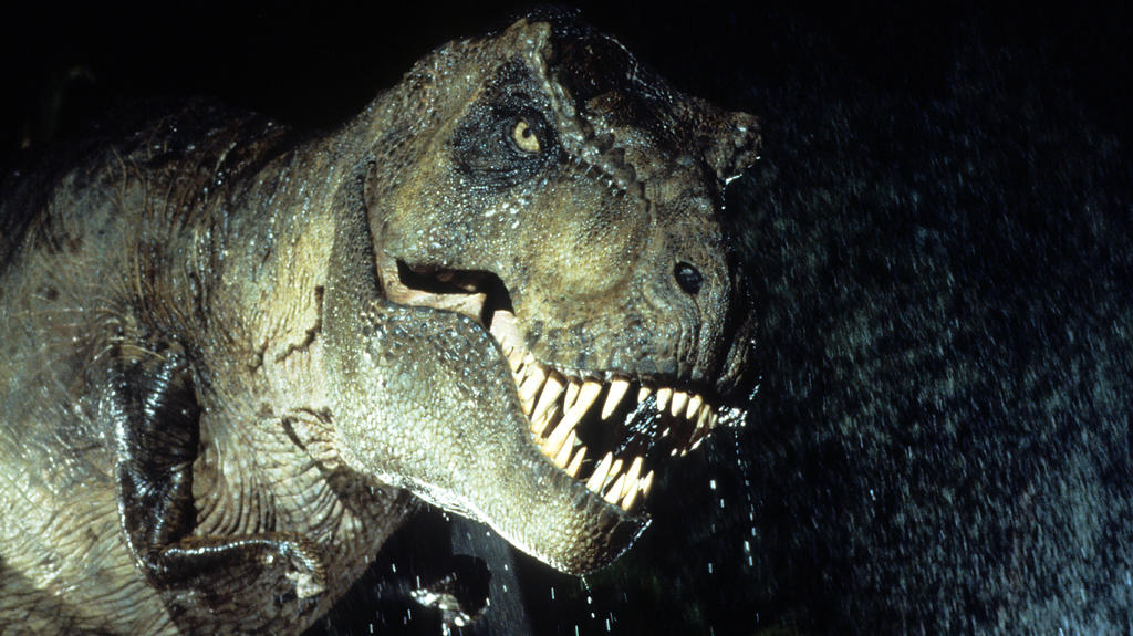 Con 42 metros desde el hocico hasta la cola y más de siete toneladas de peso, el Tiranosaurio Rex fue uno de los carnívoros más grandes de todos los tiempos. Y no fue el único: algunos de sus primos menos conocidos podían tener casi el mismo tamaño pero ¿cómo (y cuándo) llegaron a ser tan grandes? (Especial) 