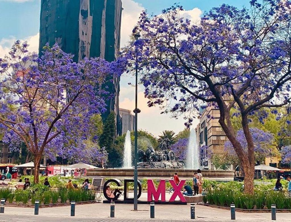 La ciudad de México es un sitio lleno de cultura y lugares pintorescos,  con una gran cantidad de espacios listos para darte unas fotografías de impacto. 
(Instagram// @laromadf créditos: @@lilymdn_) 