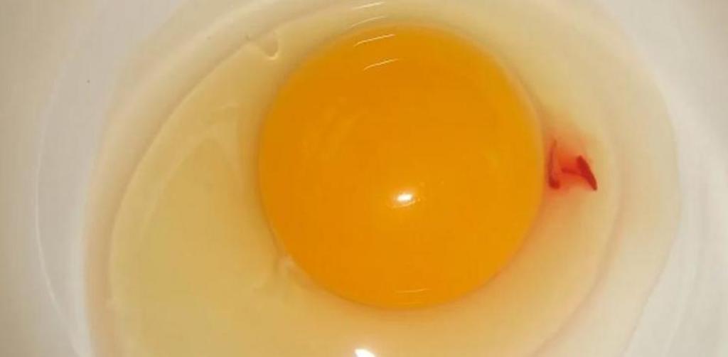 Un huevo con una mancha de sangre es seguro y se puede consumir. (AGENCIAS)