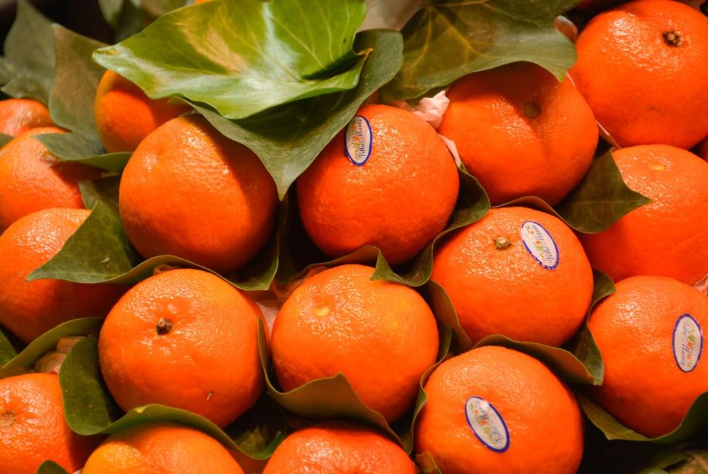 La mandarina, como bien sabemos, es un fruto similar a la naranja, pero con un tamaño más pequeño y achatado por su base. Se puede usar para tratar las úlceras, la vesícula, además de ser buena para la fiebre, la anorexia, la tos, además de la intoxicación etílica. (Especial) 