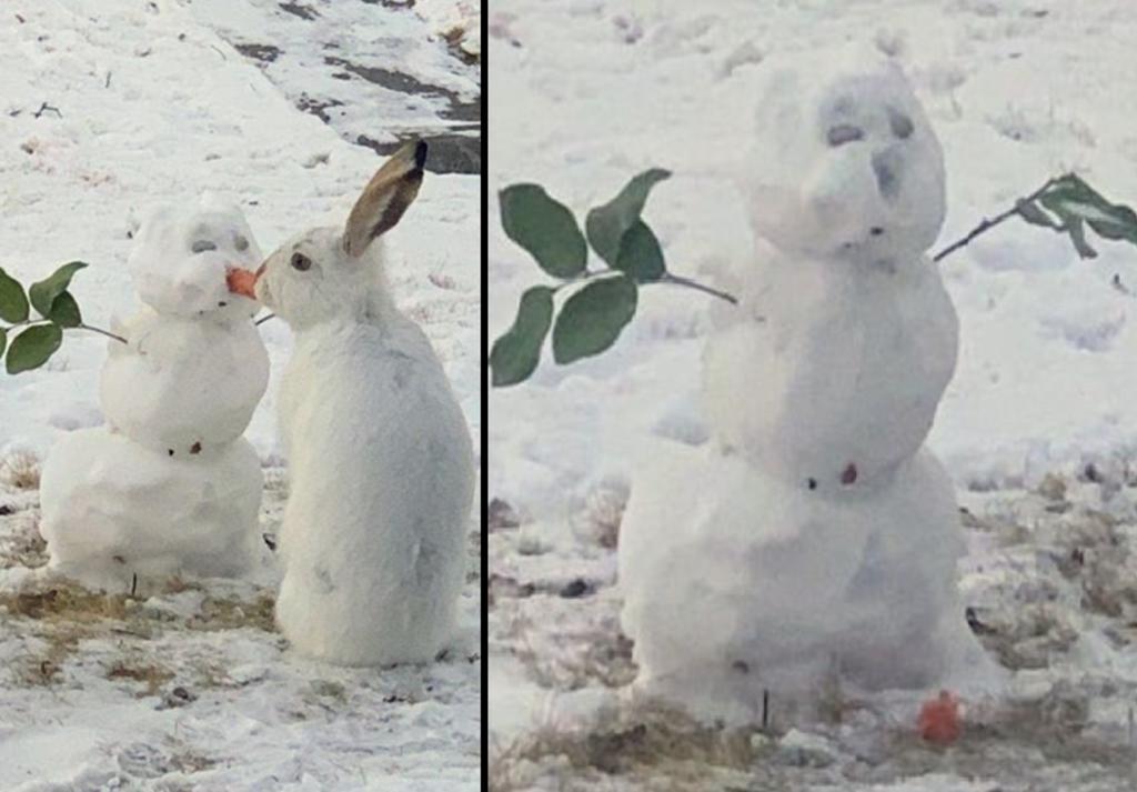 Un cómico momento, si bien ‘trágico’ para el muñeco de nieve. (INTERNET)