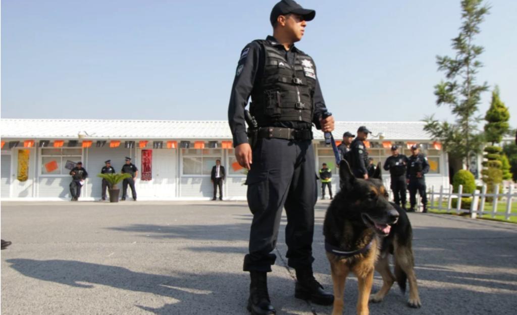 Elementos policíacos de la compañía Canina K9 de la Secretaría de Seguridad Ciudadana de Puebla llevaron a cabo 241 acciones y el aseguramiento de armas de fuego y drogas. (ESPECIAL) 
