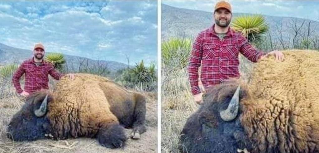 Este lunes apareció en redes sociales la imagen de un cazador presumiendo un bisonte cazado en el rancho Buena Vista, en Coahuila. (ESPECIAL)