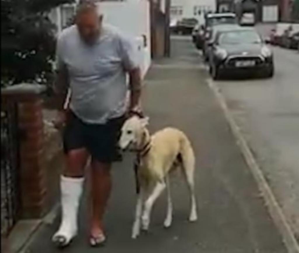 En redes sociales se volvió viral el tierno momento en el que un perro imita a su dueño lesionado por compasión para caminar a un costado de él. (Especial) 