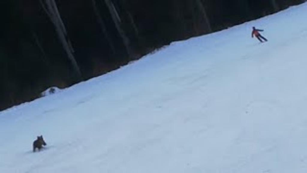 El esquiador logró escapar ileso (CAPTURA)