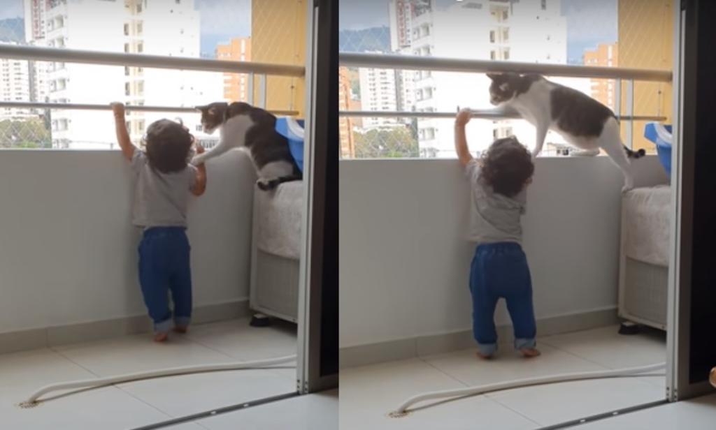 La escena se viralizó gracias al instinto 'protector' del gato con el niño (CAPTURA) 