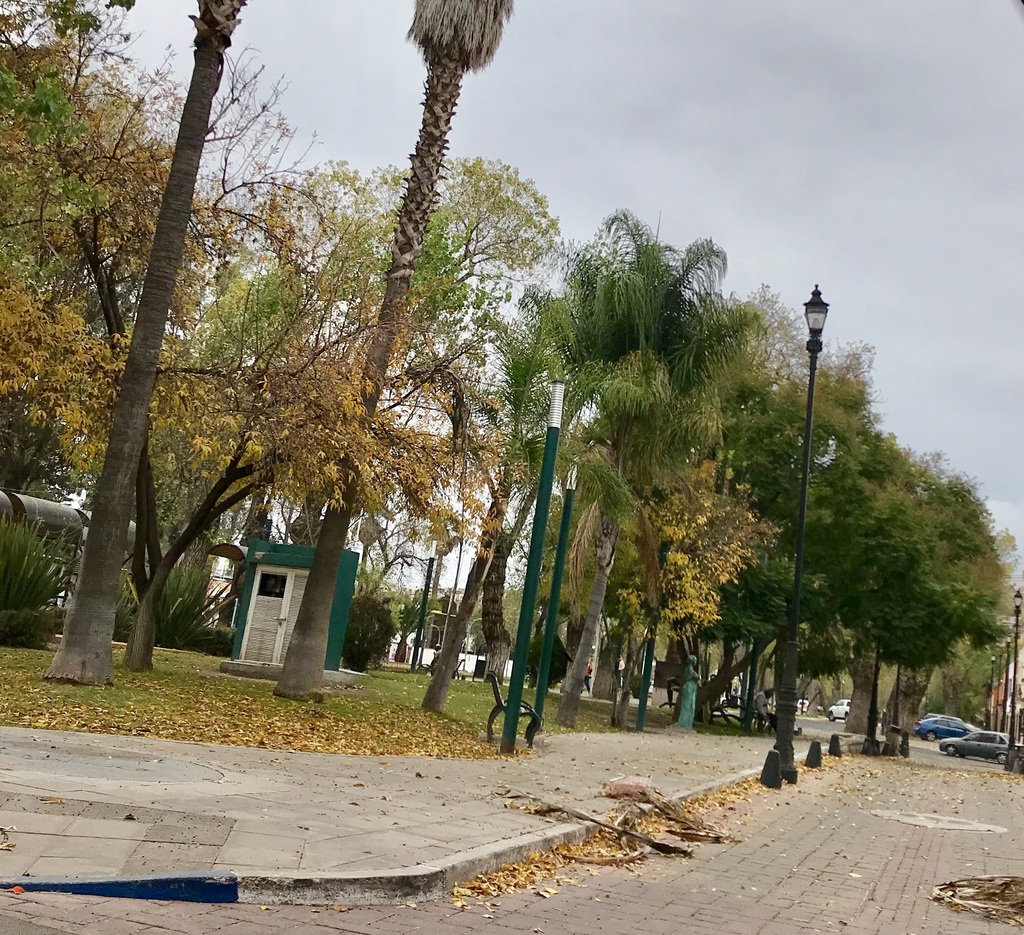 La Comisión Nacional del Agua (Conagua) alertó sobre la probable presencia de fuertes rachas de viento en la entidad varios días de la semana. El miércoles podrían alcanzar los 90 kilómetros por hora. (EL SIGLO DE TORREÓN) 