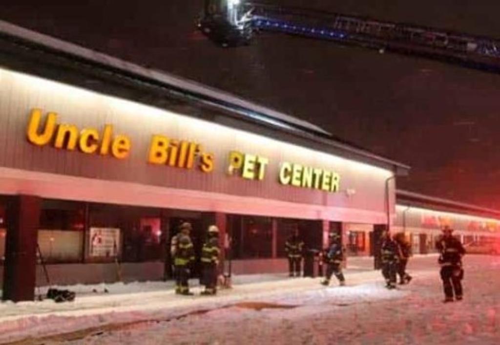 Los bomberos de Indianápolis informaron el martes que unos 100 animales murieron por un incendio durante la noche en una tienda de mascotas, sofocados por humo espeso y gases letales. (Especial) 