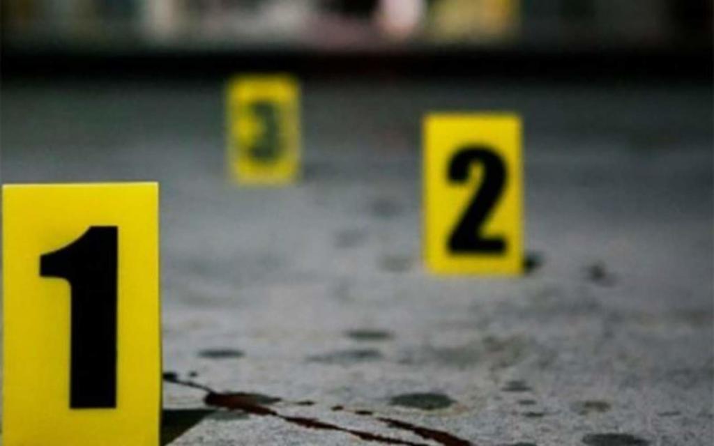 Tres hombres y una mujer fueron asesinados a tiros en un parque de la colonia Lomas de Polanco, en la capital del estado. (ARCHIVO)