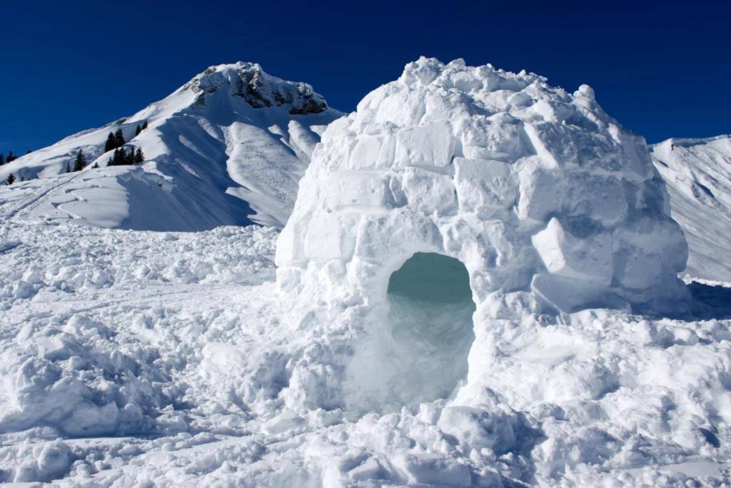 Padre e hijo, que construyeron el iglú, quedaron bajo la nieve, pero el padre pudo salir solo de inmediato. (INTERNET)