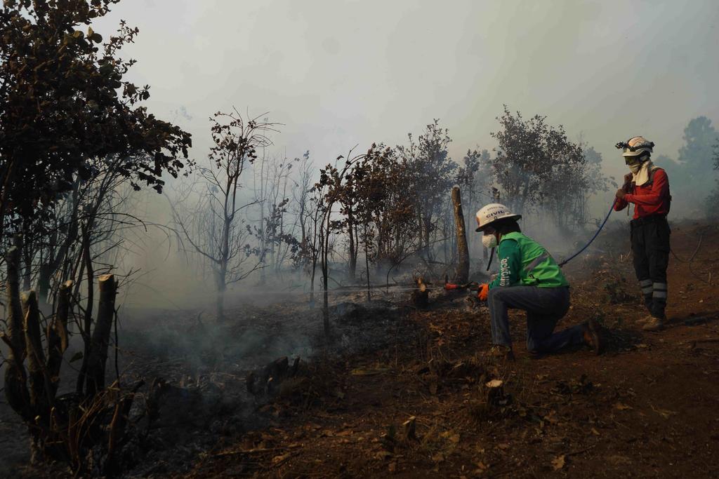 Hasta este jueves, dos fuertes incendios forestales reportados este lunes y martes en los Valles Centrales de Oaxaca se reportan mitigados a más de 90%. (ARCHIVO)