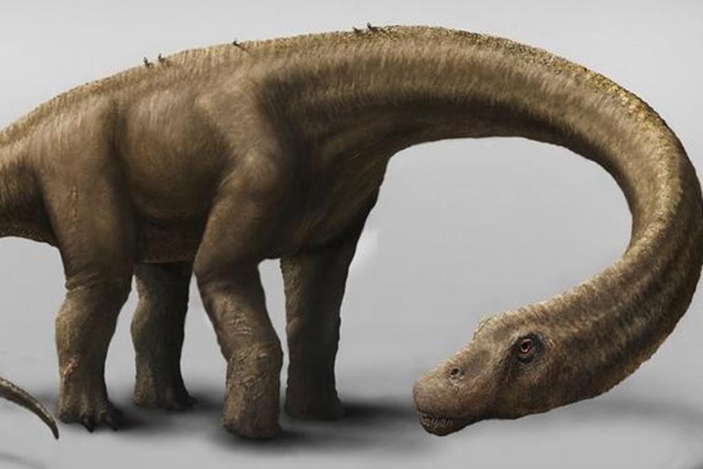 Paleontólogos argentinos anunciaron el descubrimiento del titanosaurio más antiguo del mundo, que habitó la Patagonia argentina hace 140 millones de años. (Especial) 