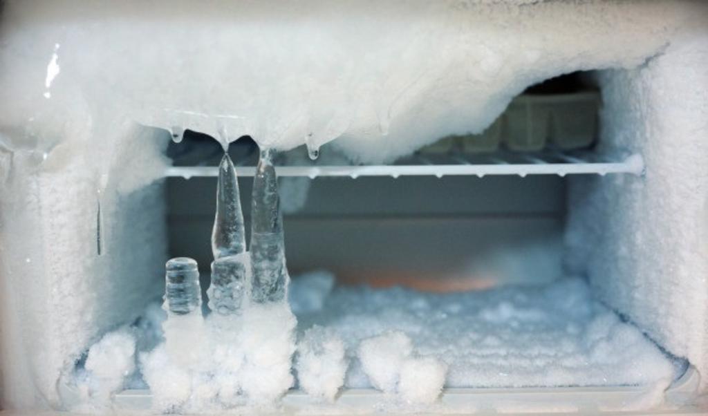 Se cree que el joven ingresó por su propia cuenta para 'refrescarse' pero terminó atrapado en el congelador (ESPECIAL)