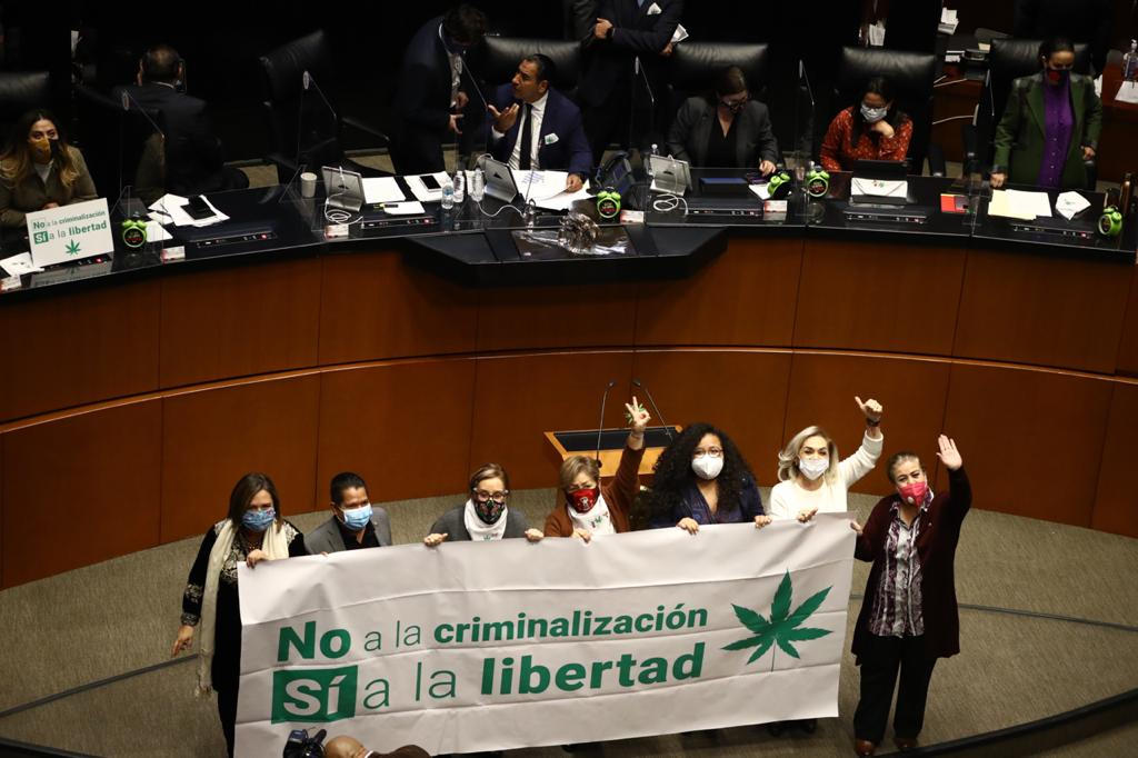 El Senado de la República recibió de regreso la minuta con proyecto de decreto para la despenalización de la marihuana. (ARCHIVO)