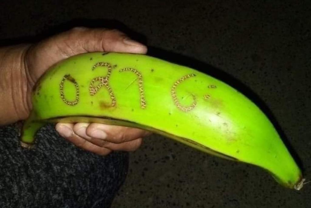 La imagen del plátano se difundió a través de WhatsApp (CAPTURA) 