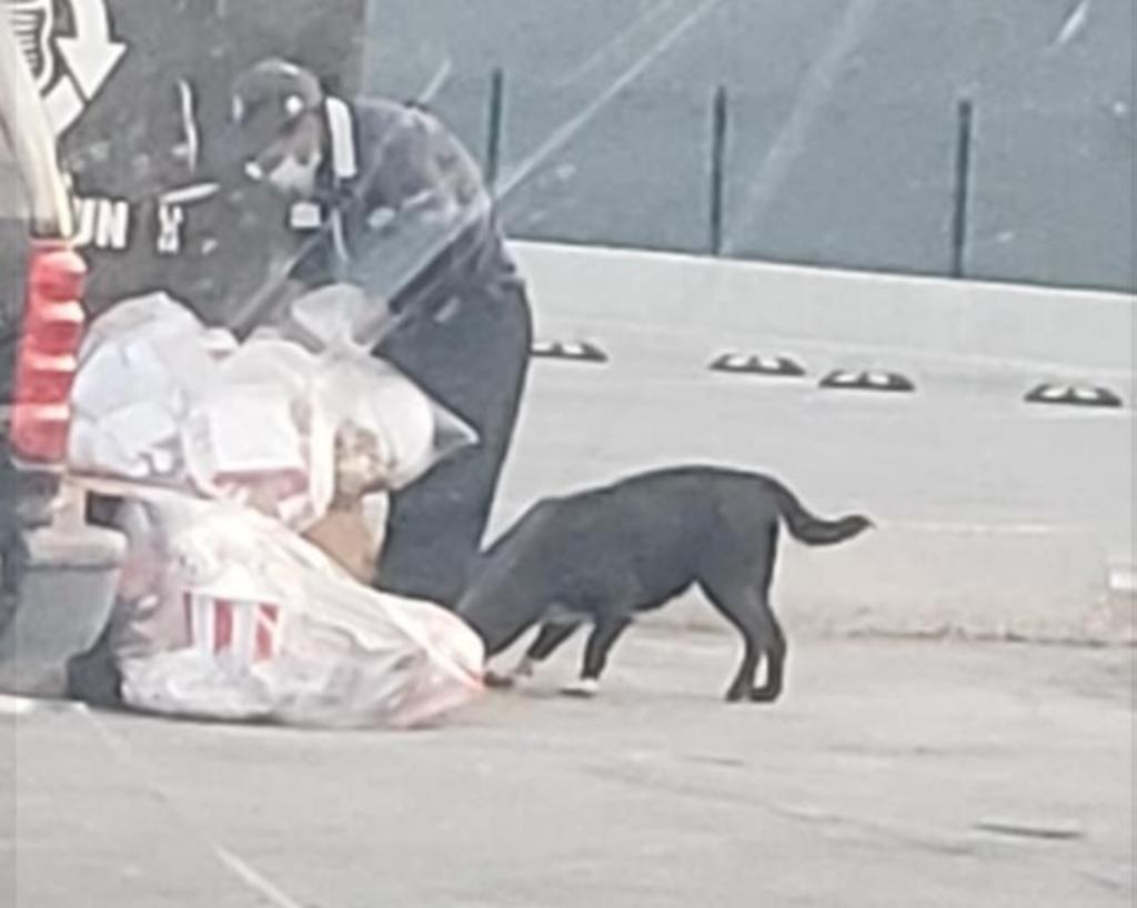 Mediante el grupo de Facebook, 'Animalitos Laguneros En Apuros', se compartieron un par de fotografías donde se muestra a la trabajadora de un restaurante en Gómez Palacio alimentando a un perrito callejero. (Especial) 
