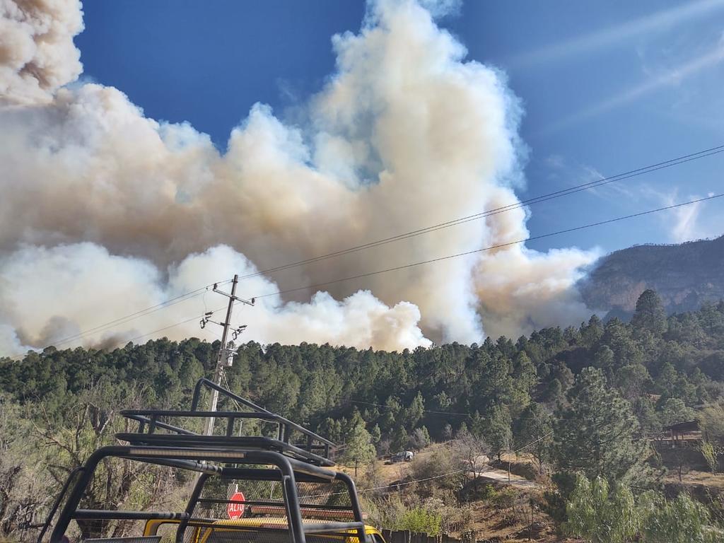 El estado de Coahuila se encuentra en alerta por el incontrolable incendio en la Sierra de Arteaga. (TWITTER)