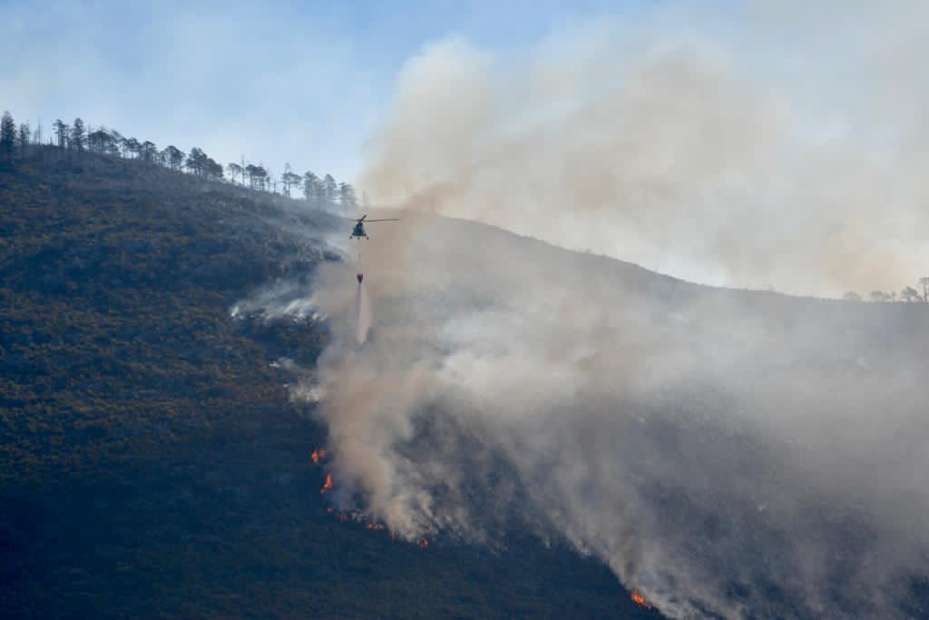 Reyes Flores Hurtado señaló que hay un evidente daño del bosque de la sierra de Arteaga y de cabañas de recreo.
(EL SIGLO DE TORREÓN)
