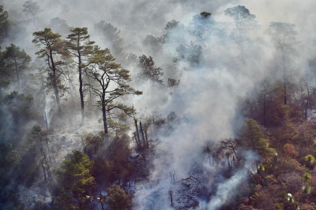 La Secretaría de Medio Ambiente del Estado (SMA) de Coahuila reportó un progreso del 30 por ciento en el control y un 10 por ciento en la liquidación del incendio forestal en la Sierra de Arteaga, en la zona de 'La Pinalosa'. (TWITTER)