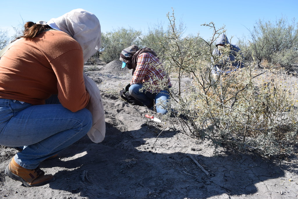 En el área de Cepeda del municipio de Tlahualilo, a 80 kilómetros de Torreón, fueron detectados fragmentos de huesos humanos. (ARCHIVO)