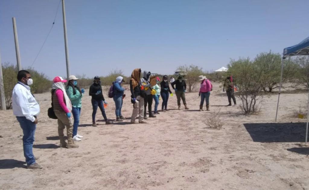 La Fiscalía General de Durango en conjunto con el Grupo Vida de familias de desaparecidos de la región Laguna, encontraron restos óseos en el municipio de Tlahualilo, Durango, como parte de un operativo de búsqueda. (ESPECIAL) 
