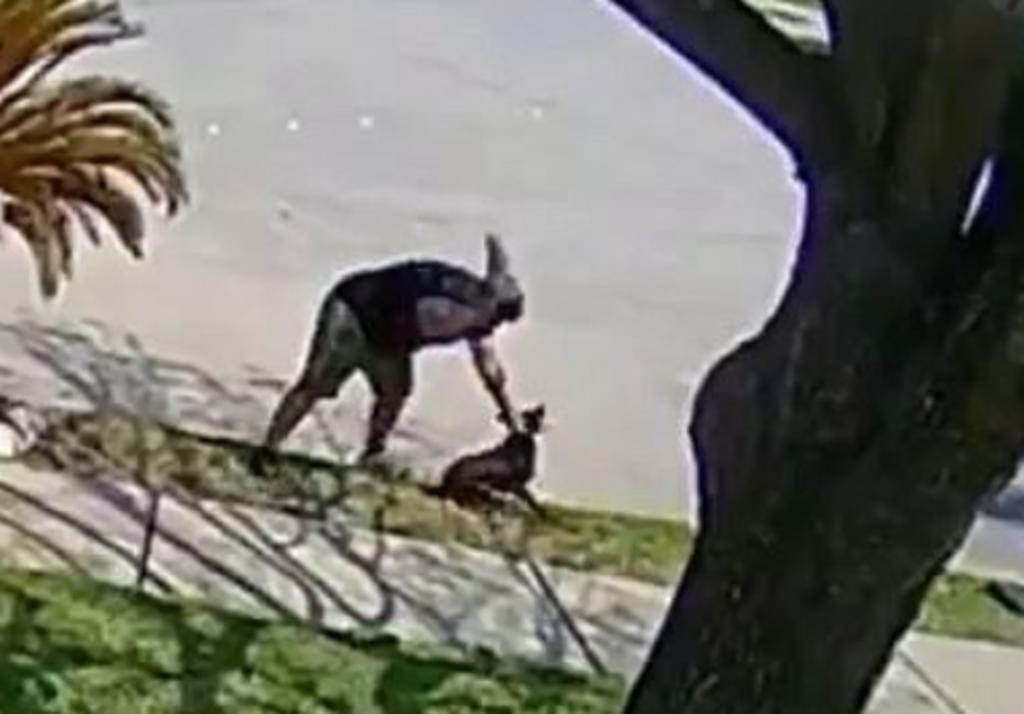 El hombre está siendo investigado por las autoridades (CAPTURA)