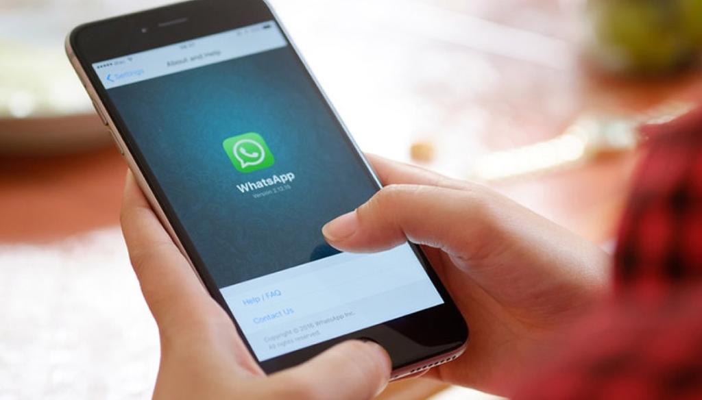 Forzar el cierre de WhatsApp puede convertirse en una útil opción cuando se busca un momento a solas alejado de las notificaciones o nuestros contactos (ESPECIAL)  