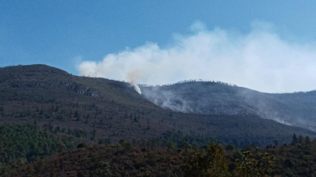 El incendio registrado en la Sierra de Arteaga ha afectado 3 mil hectáreas de árboles milenarios.
