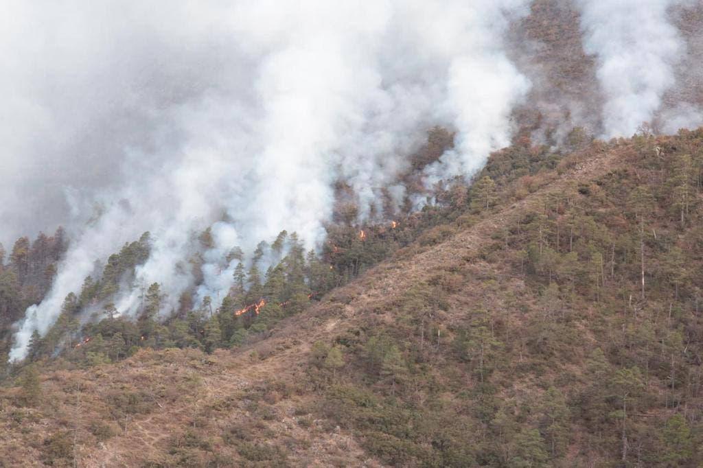 Este sábado 27 de marzo, la titular de la Secretaría de Medio Ambiente del Estado (SMA), Eglantina Canales Gutierrez, informó que el combate al incendio en “La Pinalosa”, en la Sierra de Arteaga, reporta un avance del 70 por ciento en control y un 40 por ciento en su liquidación, con una afectación estimada en 3 mil 550 hectáreas de arbolado adulto de oyamel, pino-encino y matorral submontano. (EL SIGLO DE TORRÉON) 
