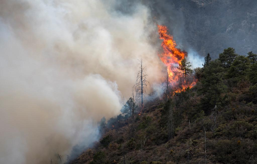 Al tiempo que se combaten cinco incendios forestales en zonas montañosas de Nuevo León, Protección Civil del Estado, se puso en comunicación con sus homólogas de Coahuila y San Luis Potosí, ante el avance del fuego en sierras de ambos estados en los límites con esta entidad. (ARCHIVO)