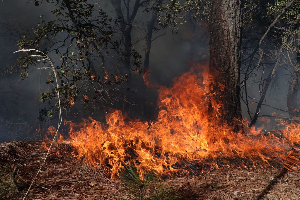 Autoridades de Medio Ambiente aseguraron que los incendios continuarán durante la temporada de calor.
