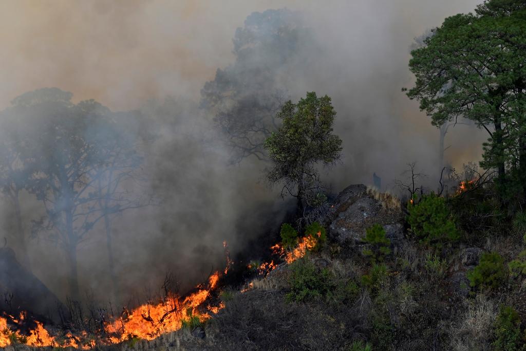 El incendio en el Parque Nacional El Tepozteco está controlado al 100%, pero todavía resta un 10% de liquidación, luego de cuatro días de combate en la cima del macizo montañoso para detener la marcha del incendio forestal registrado en el paraje Malinalapa, del barrio de Santo Domingo, en Tepoztlán. (ARCHIVO)