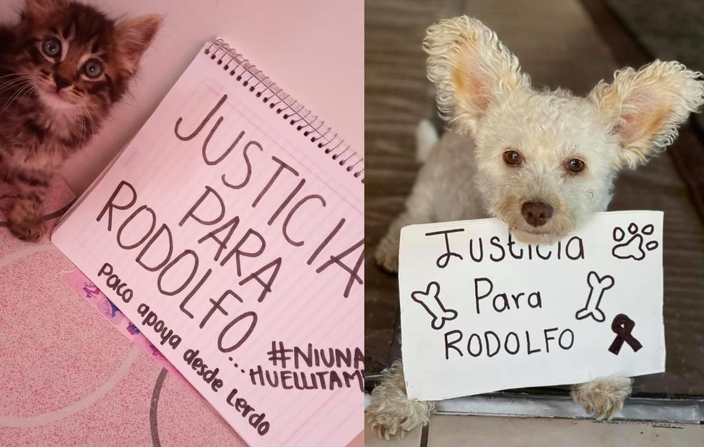 El caso de 'Rodolfo' ha impulsado a diversas campañas en redes que buscan justicia por su cruel asesinato (ESPECIAL) 