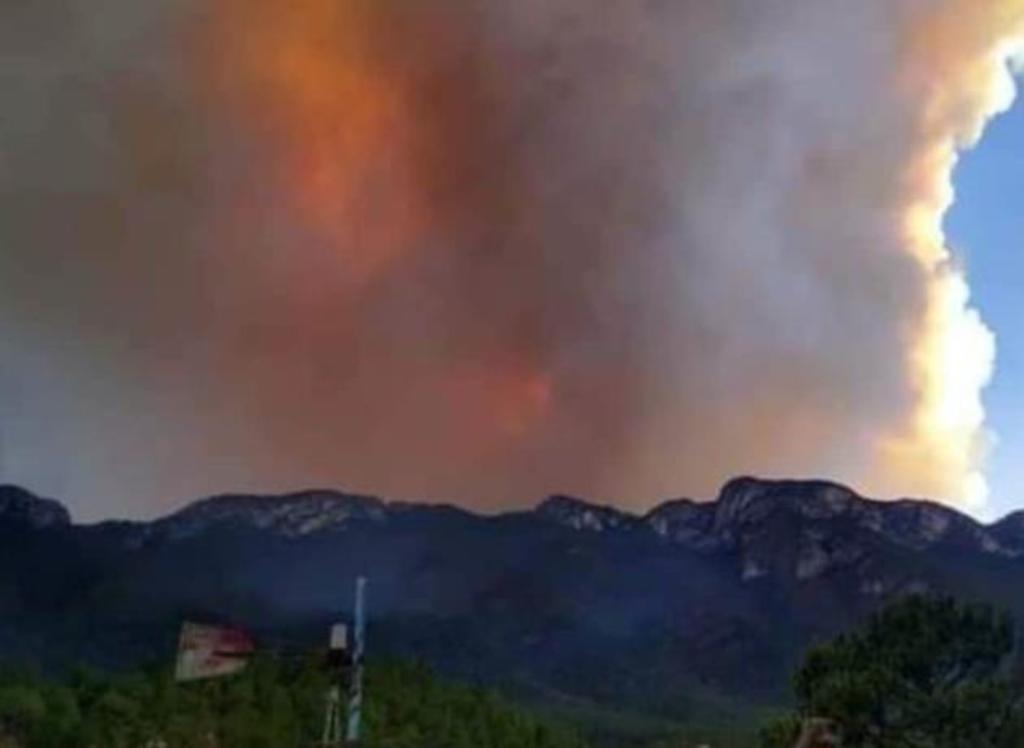 El siniestro inició el sábado diez de abril en el predio El Milagro, dentro del Área Natural Protegida del Parque Real de Guadalcázar, San Luis Potosí, y al día siguiente se propagó hacia el estado de Nuevo León, en la zona del Cerro El Cabrero.
(ARCHIVO)