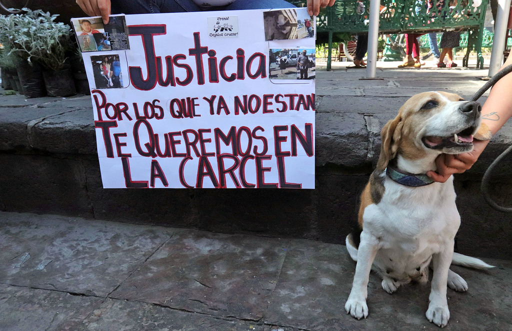 La invitación abierta es a llevar mascotas pero con correa. (ARCHIVO)