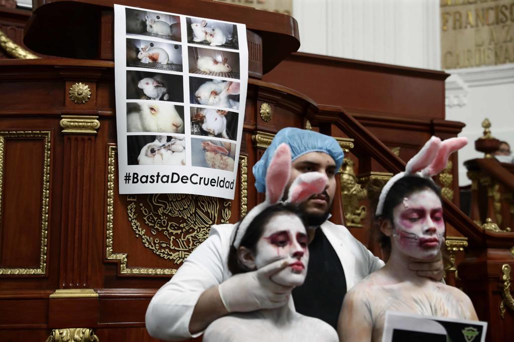 El pleno de la Cámara de Diputados aprobó reformas a la Ley General de Salud para prohibir las pruebas cosméticas en animales. (ESPECIAL)