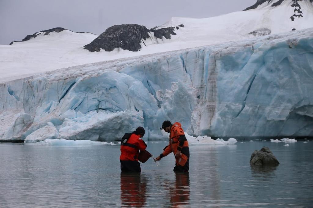 Argentina fue pionero en la Antártida hace 70 años con la creación del Instituto Antártico Argentino (IAA), el primero de este tipo en el mundo, y que tras este tiempo mantiene su compromiso renovado con las exigencias actuales de conservación medioambiental y reducción de los efectos de la crisis climática. (ARCHIVO) 