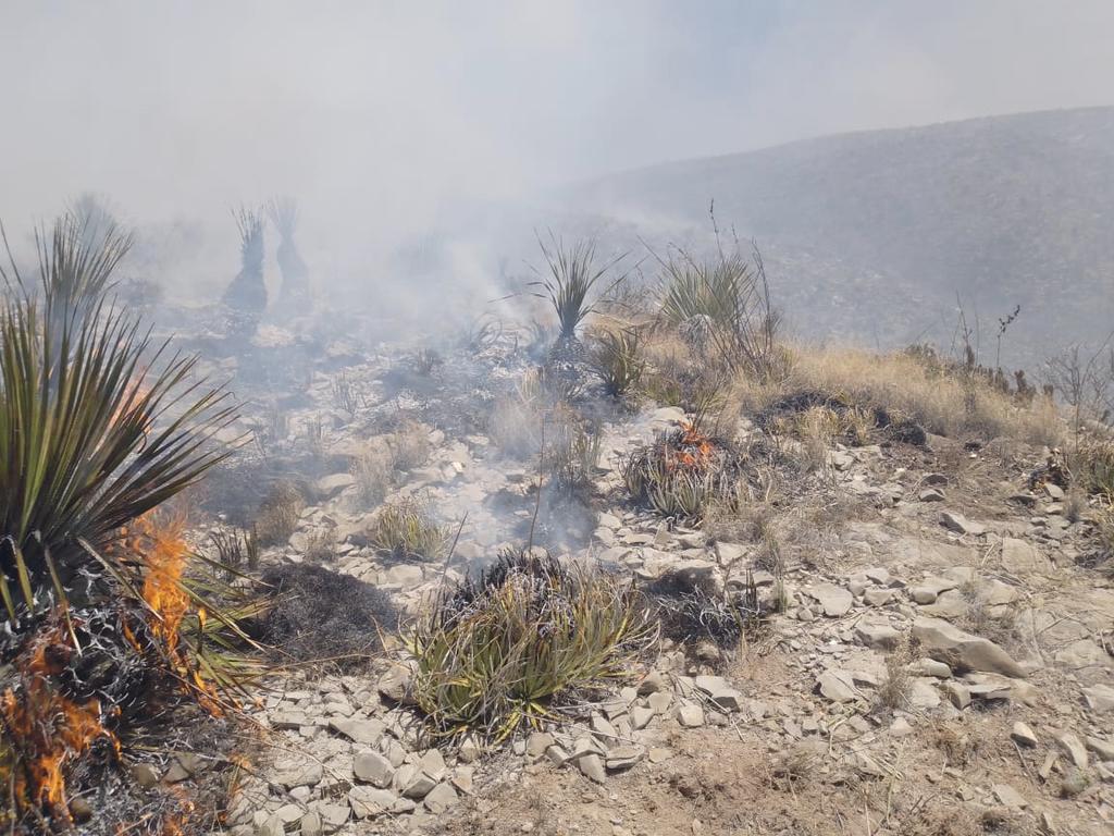 Son más de 60 elementos combatiendo el fuego que se enclaustró en un cañón de la Sierra de dicho Rancho.