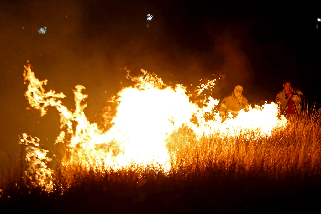 Son alrededor de 110 incendios forestales los que se han registrado en la entidad durante esta temporada. (EL SIGLO DE TORREÓN) 