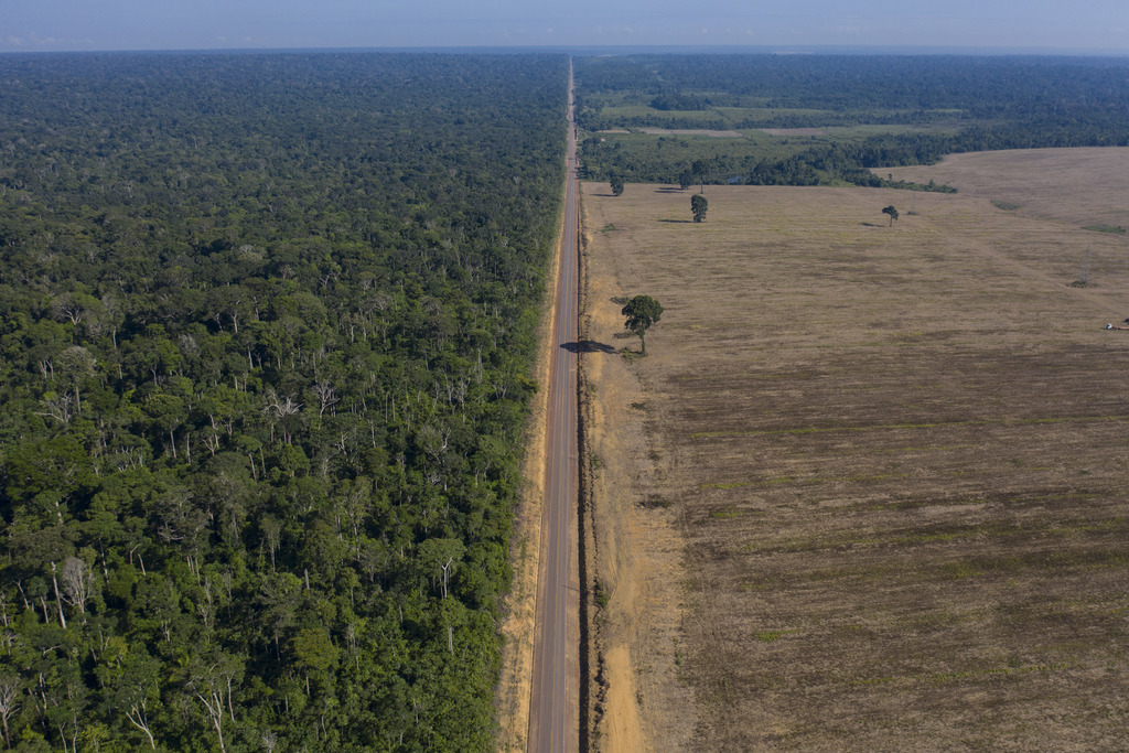 La deforestación aumentó 43 % a 581 kilómetros cuadrados con respecto al mismo mes de 2020.