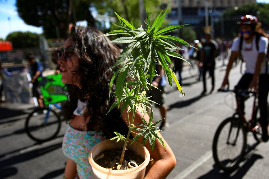 Miles de personas recorrieron algunas calles de la capital mexicana para pedir que se legalice esta planta en el país. (ARCHIVO) 