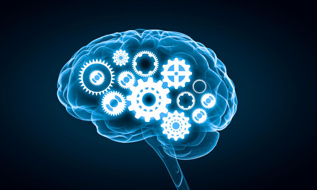Investigadores del Instituto de Bioingeniería de Cataluña (Noreste de España) identificaron el mecanismo neuronal del aprendizaje autónomo, un nuevo avance en el proceso para comprender cómo aprende y almacena los recuerdos el cerebro humano. (ESPECIAL) 

 