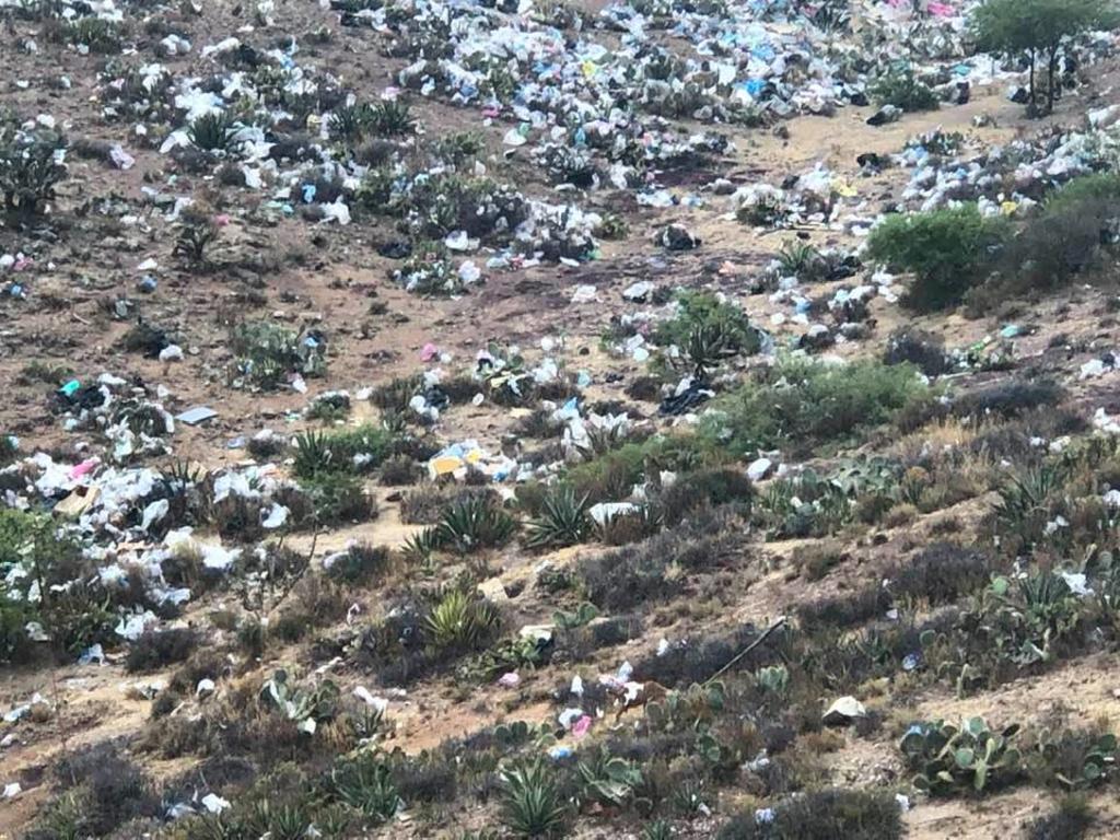 Al respecto de estas fotografías, la presidenta de la Fundación Real de Catorce, Petra Puente Córdova, comenta que este paisaje de basura es cada vez más común en el Pueblo Mágico.
(FACEBOOK)