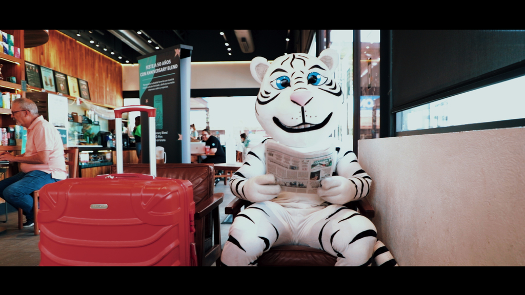 Cuenta el trayecto del tigre blanco al Instituto de Estudios Superiores DCM. (ESPECIAL)