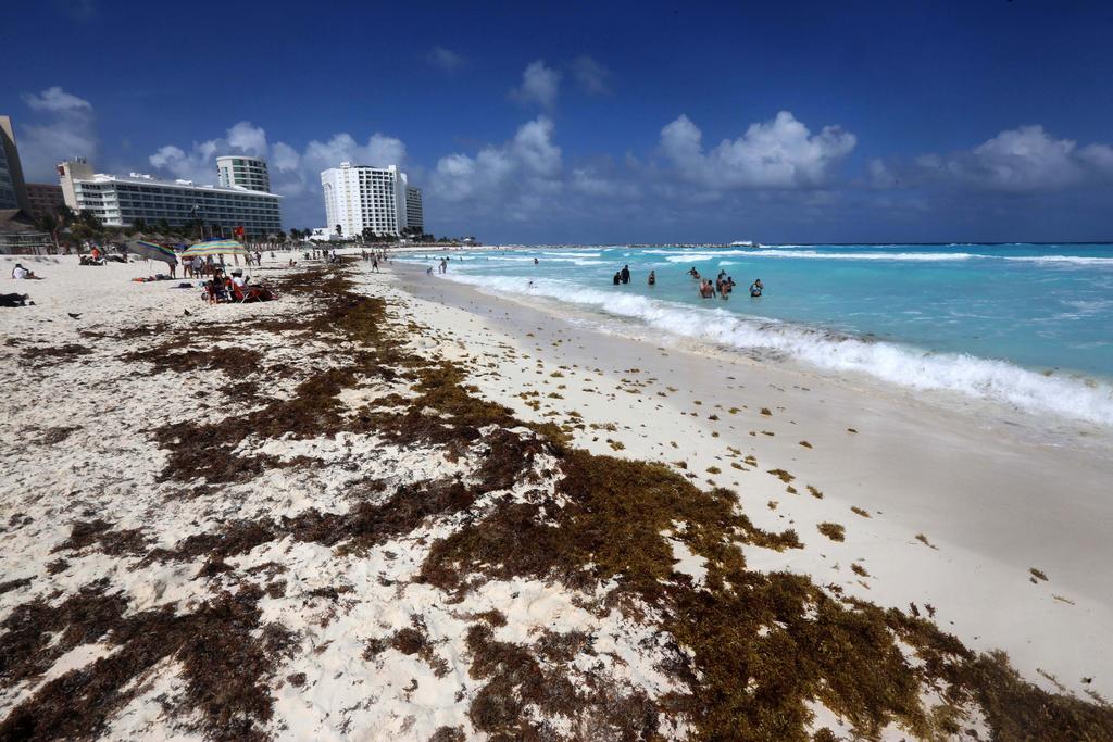 Los hoteles del Caribe mexicano se han preparado para combatir el sargazo que se teme llegue masivamente a las playas del estado de Quintana Roo a partir de este mes de junio en niveles semejantes al 2019.
(EFE)