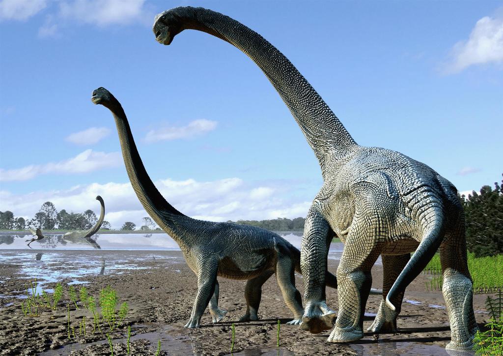 Con más de 25 metros de largo y 5 de altura, un estudio científico identificó una nueva especie de saurópodo, que pobló la Tierra hace más de 92 millones de años, como el dinosaurio más grande descubierto en Australia. (ESPECIAL) 
