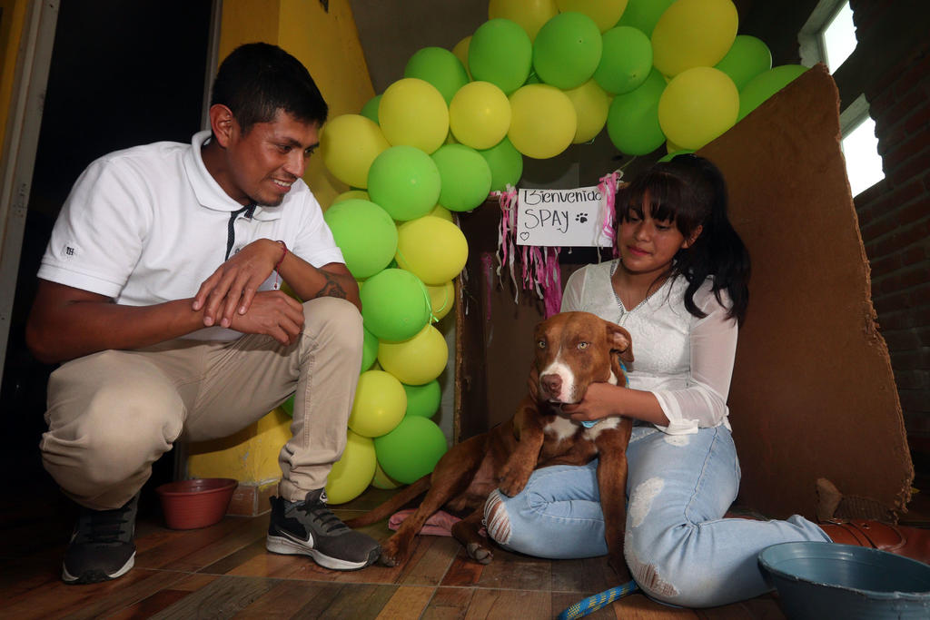 Tras tres días de tratamiento en la Unidad de Bienestar Animal, Spay fue entregado a su dueña Fátima Ortega, habitante de Santa María, para que siguiera el tratamiento médico en casa. (EL UNIVERSAL)