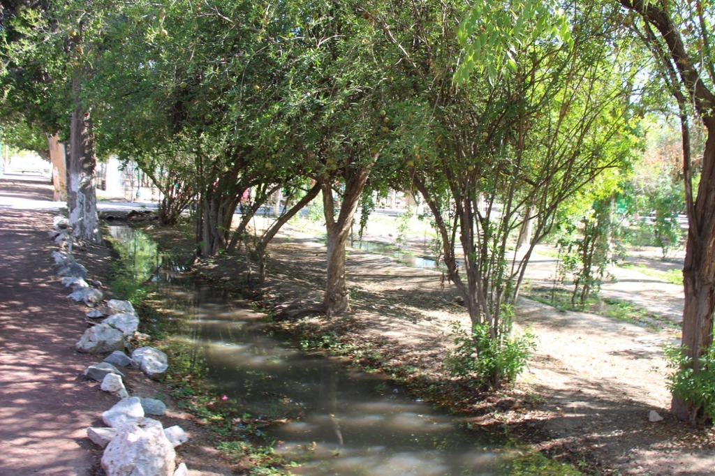 Mejoran el riego del Parque Las Auras o vivero Lerdo ubicado en el bulevar Miguel Alemán, uno de los principales pulmones.(ARCHIVO)