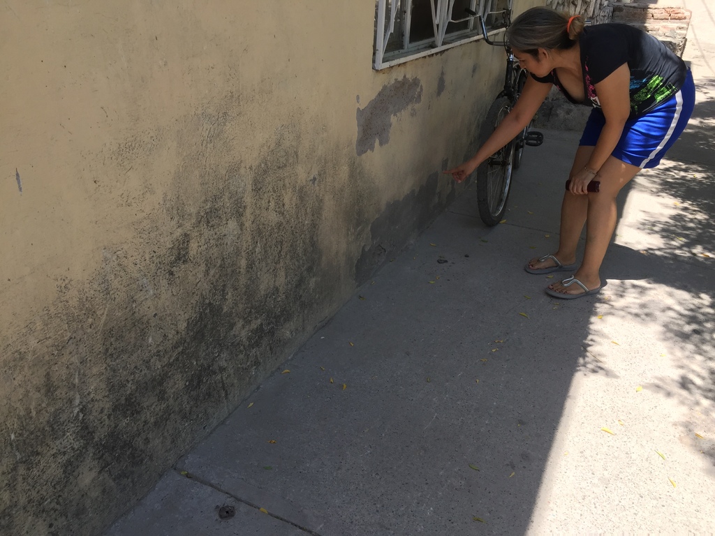 En el callejón González Ortega casi esquina con Mina, se registra el problema de garrapatas.(GUADALUPE MIRANDA) 